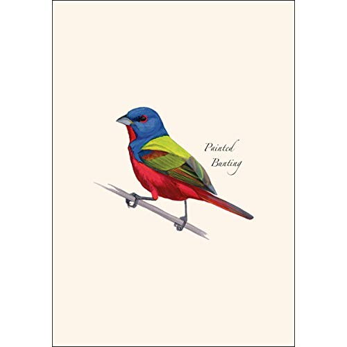 Image of Earth Sky + Water - Painted Bunting Notecard Set - 8 Blank Cards with Envelopes