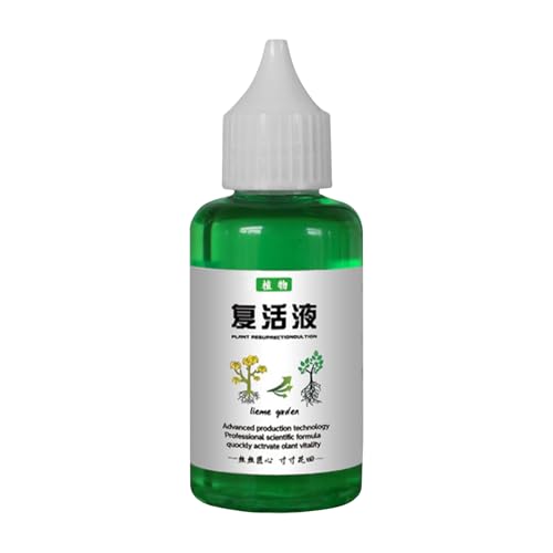 ϗtAh{, A͍ܕt, 50ml y A, Ah{tOѓy͔|̐AHi, NIŋ͂Ȑ𑣐iAO̓yẢaAp̌ʓIȃK[fANZT[