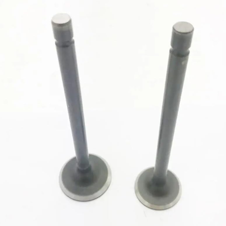 Intake Valve And Valve For K-zuma Ma-moth 800 MM800-301-004 MM800-301-005
