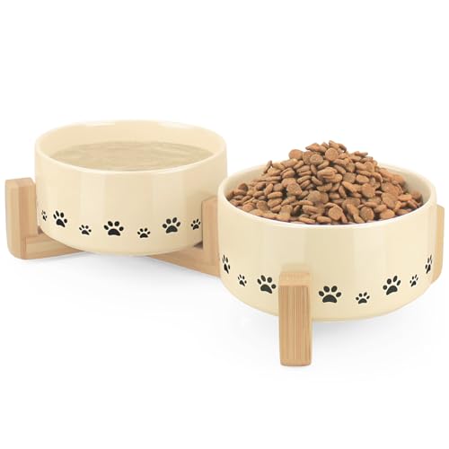 Weighted Dog Bowls The 15 best products compared Wild Explained