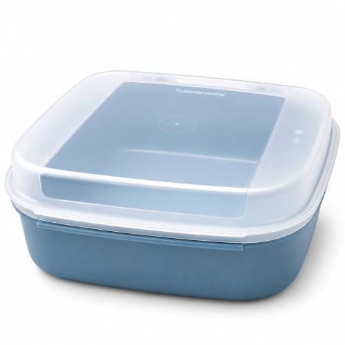 Tupperware Snackdose 1.4 L - Snacks Picknick Bonbons Aufbewahrung - Transparenter Klappdeckel - Kunststoff - 17.7x20.9x8.3 cm - Spülmaschinengeeignet Praktische Küche