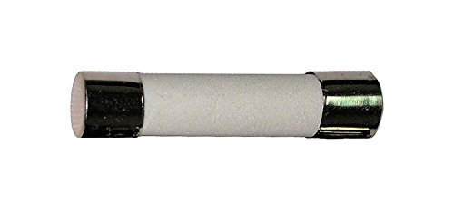 Divine Lighting ABC 200mA Fast-Blow Ceramic Fuse 250v ABC200mA ABC 200mA Fast-Blow Fuse (Also 3AB). Ceramic…