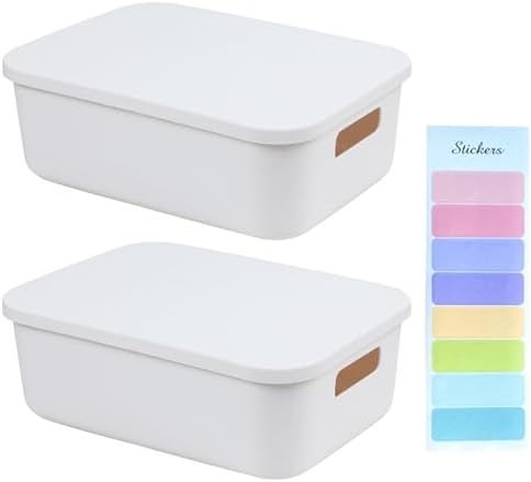 2 Pieces Storage Box with Lid, Plastic Organizer Boxes, Plastic S...