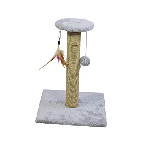 DeeRace LXNb`|Xg XNb`[ LeBXNb`|[ C^NeBu qLL|Xg ϋv̂LMtg ^Lp qLpi, XNGAO[