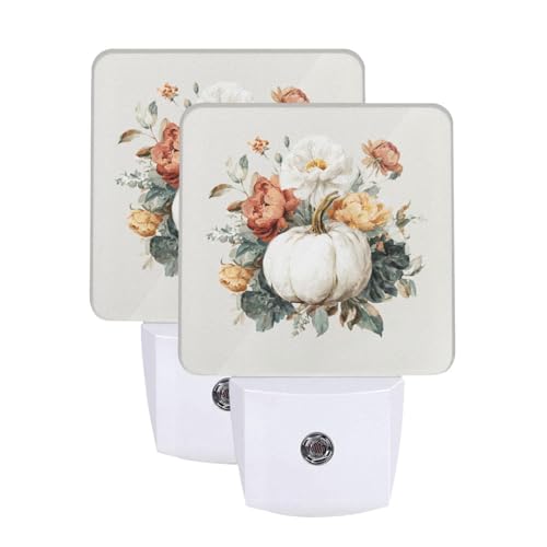 Image of Pumpkins Fall Floral Night Light 2-Pack, Love Heart Auto Sensor LED Plug-in Nightlights Set of 2 for Bedroom Bathroom