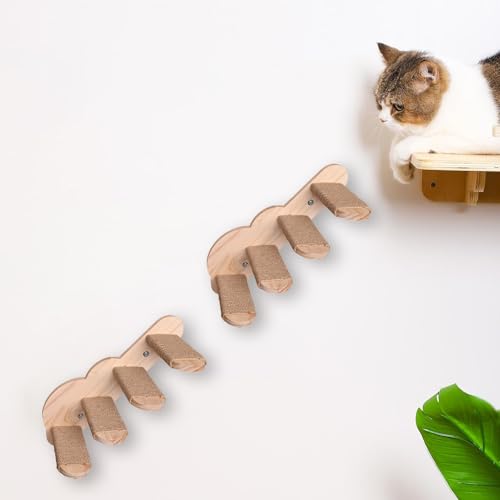 Échelle en bois pour chat à monter pour protéger l'espace
