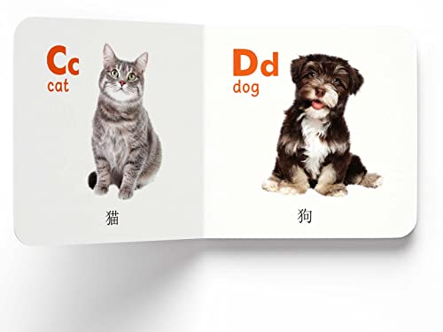 Image of My First English-Chinese Learning Library : Bilingual Boxset of 10 Picture Board Books for Kids