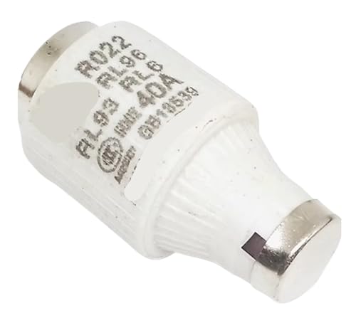 Fusible espiral RO22 40A 500V pack 20 piezas RL93 RL6 RL2