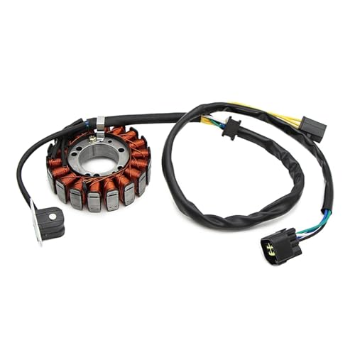 Bobine de stator pour résoudre les pannes d'allumage Suzuki DRZ250 et DR250R