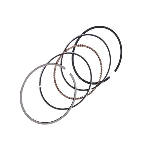 Anneaux de piston anti fumée d'huile pour moteur TTR230 XT225 YFM250 0.25