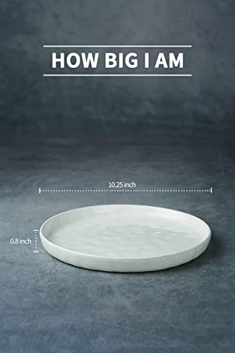 Famiware Mars 4 Pieces Dinner Plates, 10.25 Inch Plate Set, Scratch Resistant, Stoneware Dinnerware, Kitchen Modern Rustic Serving Dishes, Multi-Color #TOP3