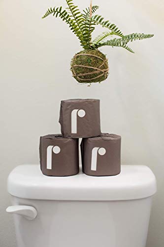 Reel Premium Bamboo Toilet Paper - 24 Rolls of Toilet Paper - 3-Ply Made From Tree-Free, 100% Bamboo Fibers - Eco-Friendly and Zero Plastic Packaging