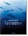 2019 Latest Edition Sharks, Michael Muller
