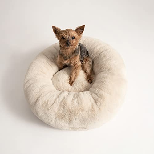Best Anti Anxiety Dog Bed Review & Buying Guides of 2023 DogNeedsThat