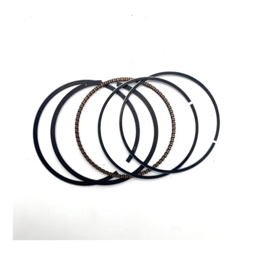 Anneaux de piston pour Jianshe 250 ATV segment de rechange JS250