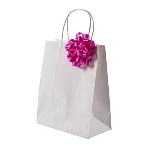 Premium White Kraft Paper Bag Set - 100 PC - 8