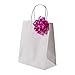 Premium White Kraft Paper Bag Set By Oasis Creations - 8"x4.75"x10" - 100 PC Eco Friendly - Twisted Handles - Ideal for Gift, Party, Baby Shower, Weddings, Lunch & More