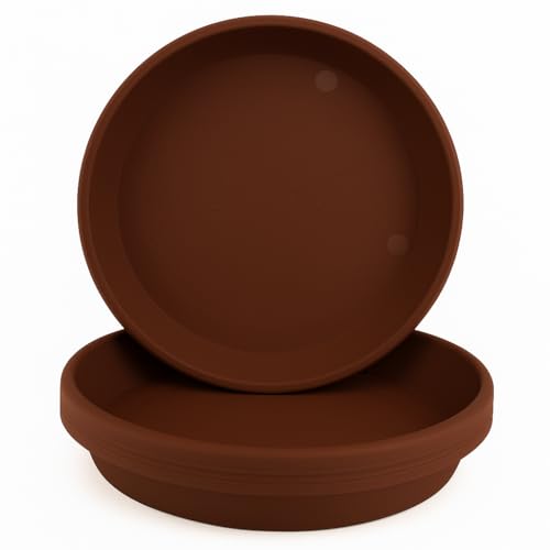 Home Garden Ornaments Blumentopf Untersetzer Set 5 Stück aus Kunststoff, Pflanzenuntersetzer für Innen und Außen, für Pflanzkübel, viele Größen und Farben (Braun, 15 cm außen / 12 cm innen)