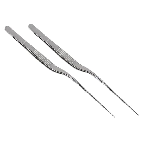 Alipis 2Pièces Pincettes Alimentaires Inoxydable Lot De Ustensiles De Cuisine Pour Plats Et Décoration Pour Chefs Et Cuisine