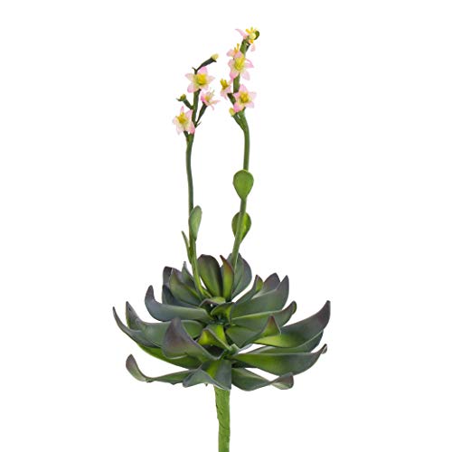artplants.de Aeonium Artificial en Vara de Ajuste, Flores Rosas, 30cm - Flor Artificial - Planta sintética