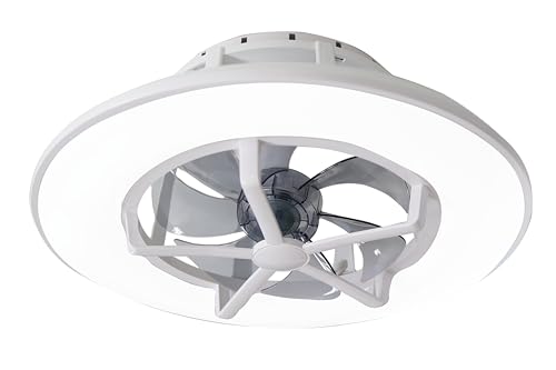 [ UQLiFE ] V[Ot@Cg V[OCg { T[L[^[  XbLI t@tV[OCg t@t t@tƖ [ V[Ot@t / 10 ? 12 ]