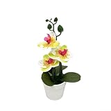 Bonsai di orchidea phalaenopsis artificiale, pianta realistica in plastica per soggiorno, ufficio, casa, decorazione, nessuna manutenzione necessaria, verde e bianco