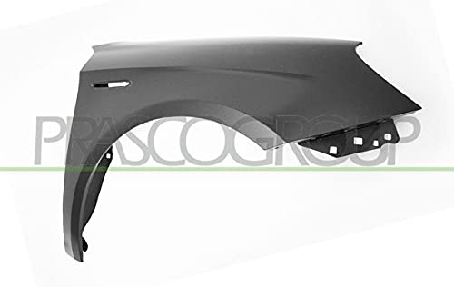 AA3443013 Parafango 8033533519628