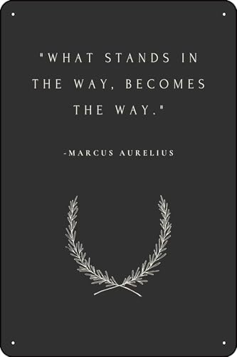 Marcus Aurelius Quote Wall Decor Stoic Philosophy Minimalist Motivational Wall Art 8x12 Inches Aluminum