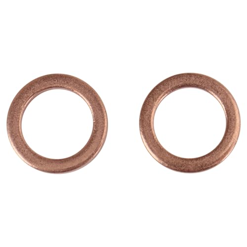 Image of TRQ Front Performance Brake Hose Set Compatible with 2002-2005 Dodge Ram 1500