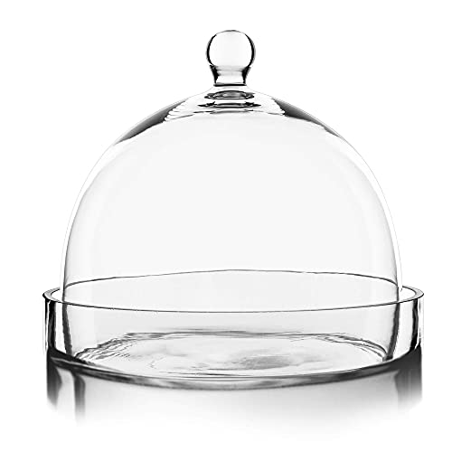 CYS EXCEL (H:7.5" W:8" Bell Dome Cloche with Glass Base Multiple Size Choices Cake Dessert Display | Terrarium Jar Plant Cover