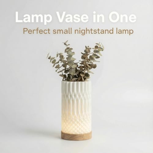 Image of Small Bedside Lamp for Nightstand, 3D Printed Mini Table Lamp, 3 Color Temperatures Warm to Cool White, Cozy Small Lamp for Bedroom Dorm Tight Spaces, Ash Wood Base, 8.8 Inch Tall - Helix