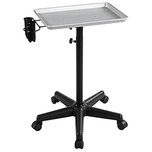 Yaheetech Rolling Salon Tray – Aluminum Trolley Cart Equipment on Wheels & Adjustable Height Mobile Beauty Salon Spa Stools Service Instrument Storage Tray w/Accessory Caddy – Silver