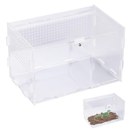 Acryl Terrarium Schnecken 20 x 12 x 12 cm, Transparente Terrarium Klein mit LuftlöCher, Kleines Reptile Fütterungsbox Ideal für Springspinnen, Eidechsen, Schnecken, Käfer, Gottesanbeterin, Geckos