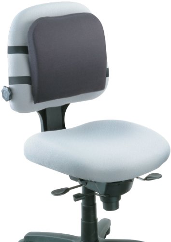 Preisvergleich Produktbild Kensington Memory Foam Rückenstütze