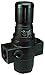 Dixon Valve R17-B00R, 1" Norgren Series 1 Regulator