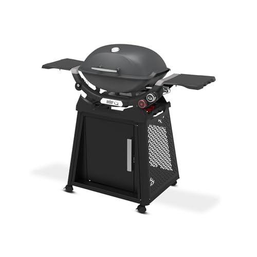 Weber Q 2800N+ Liquid Propane Grill with Stand, Charcoal Grey