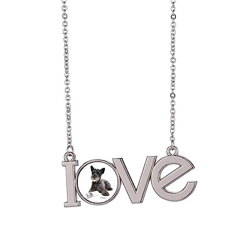 Collier avec pendentif pour chien idéal pour les balades en ville taille M