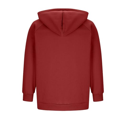 Workout Hoodies for Men Fall Casual Raglan Long Sleeve Drawstring Quarter Zip Pullover Hooded Sweatshirts with Pocket4