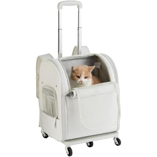 Kwueiit ybgL[obO LL[bN ybgL[ pL[J[g LX^[t |[^uybgg[obOhIbNXtH[hzobNpbNLobO܂肽݃ybgg[{bNX ʋCAՂɋAϋvɗD