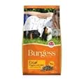 BURGESS Burgess Excel Adult Guinea Pig Nuggets with Mint 10kg pack of 1