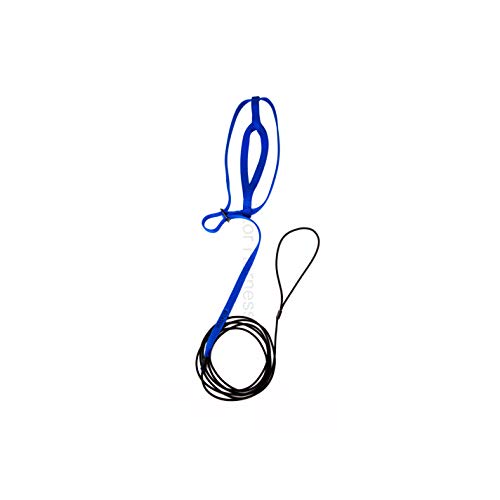 The Aviator Pet Bird Harness And Leash: Medium Blue #TOP2