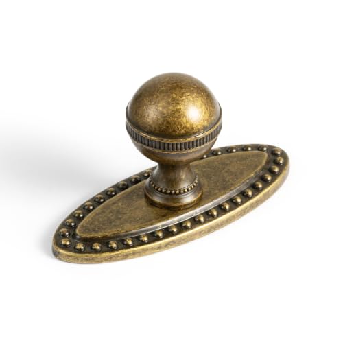 Goo-Ki Cabinet Knobs with Backplate, Antique Brass, 6 Pack