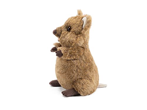 Trudi Quokka Arturo Quokka Mascotte Peluche, Regalo di Natale e Compleanno. | 18x30x18cm Taglia M | Animali Esotici Tropicali | Modello 27145