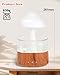 Imagen de RUIZHI Humidificador Nube de Lluvia