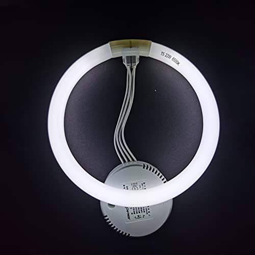 7.25 Inch T5 22W Circular Bulb Light Replacement For Floxite, Zadro, Rialto Makeup Magnifying Vanity Mirror, Fc22 Surround Fluorescent Lamp 6500K Daylight #TOP4