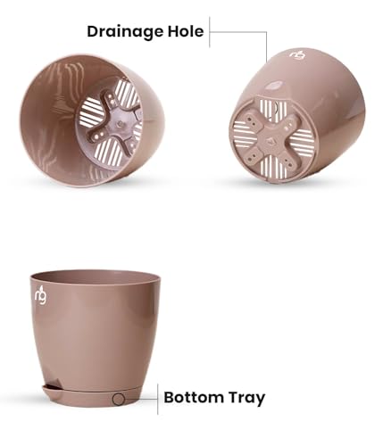 Image of Nurturing Green Indoor Palm Plant For Gifting with Mocha Self Watering Pot | Gifts For Plant Lovers| Eco Friendly Gifts | Housewarming Decoration Items | Good Luck Gifts