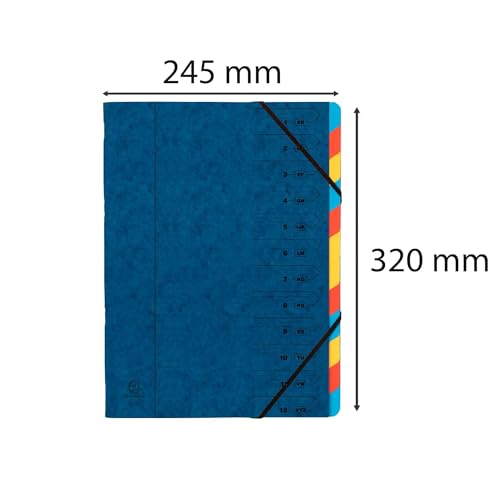 Trieur Exacompta 54122E bleu pour classer 12 dossiers A4 sans perdre de documents - 7