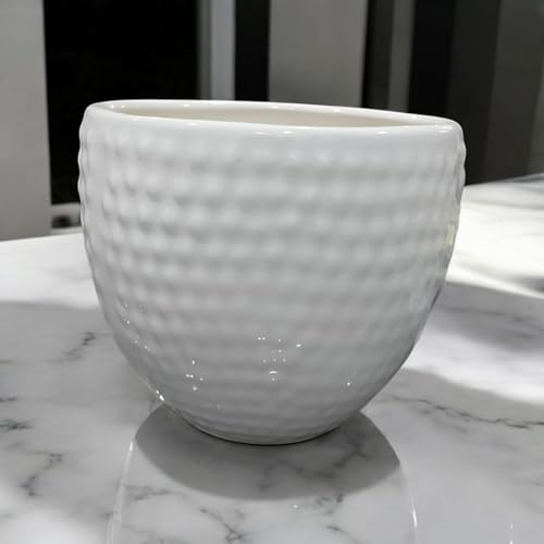 Image of Ceramic Planter Pot with Spiral Design, 17.78cm Height, White Planter Vase for Indoor Plants, Living Room Office Gardens (7 inch) Round (Dot Apple Pot)