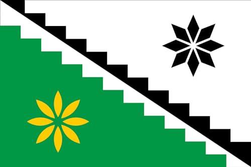 Drapeau Belovsky District pour décoration murale et événements thématiques - 2