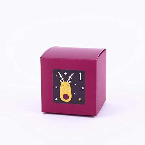 Pajoma Advent Calendar Boxes, Boxes to Fill with Stickers, Balu - Image 2